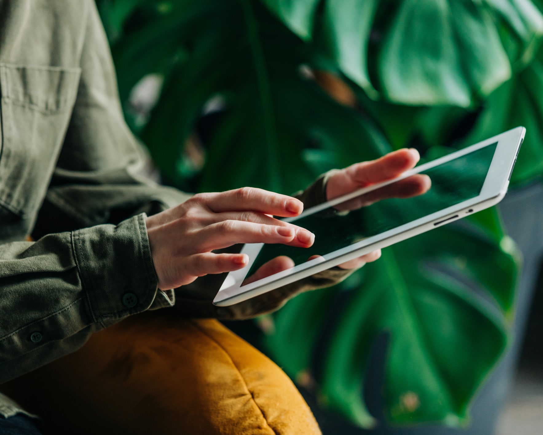 Un gros plan de quelqu’un utilisant une tablette avec une plante en arrière-plan